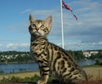 Zephira